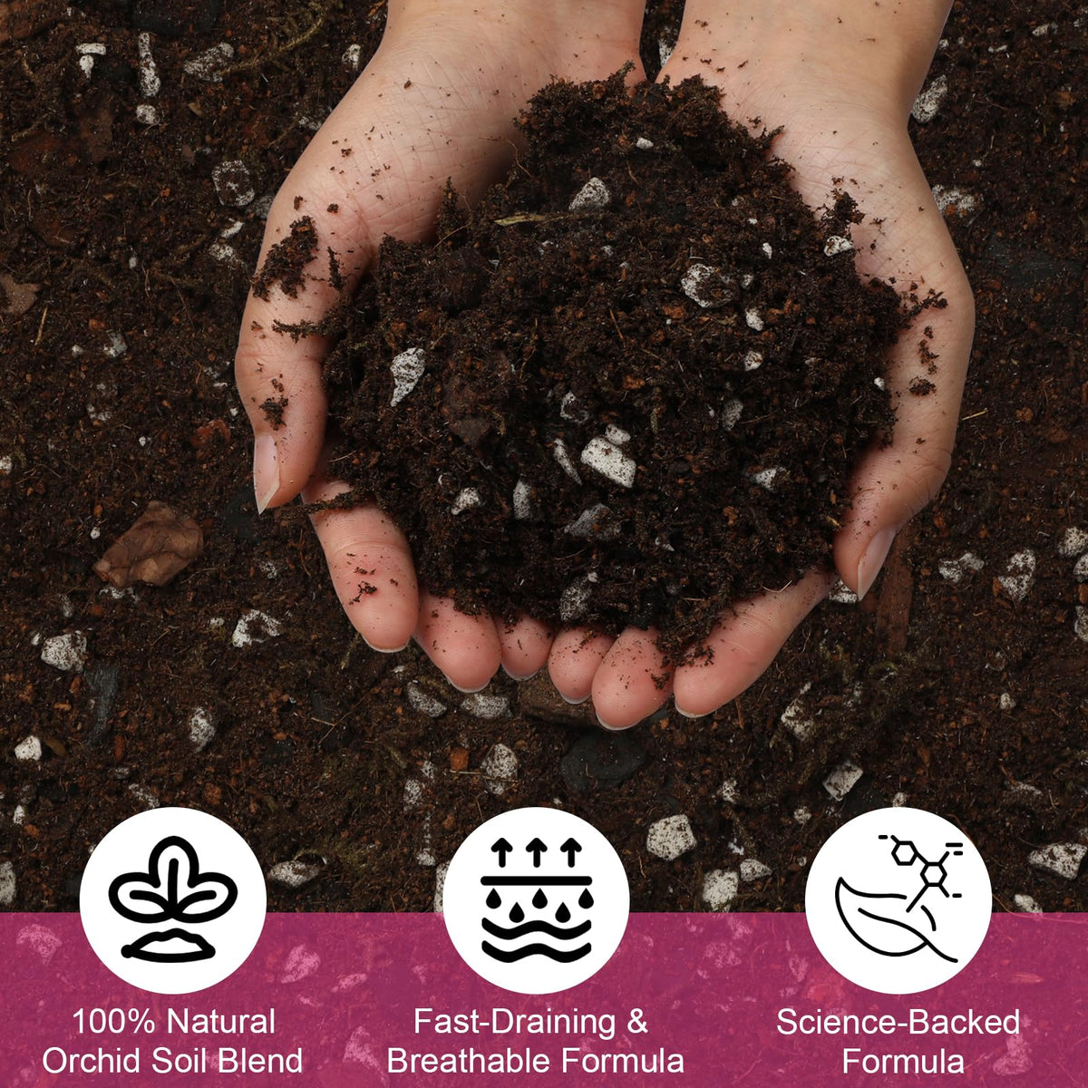 Doter orchid potting mix used during repotting to encourage aeration.