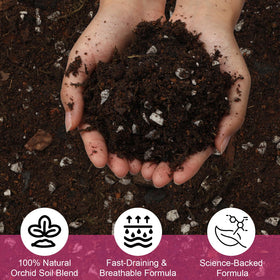Doter orchid potting mix used during repotting to encourage aeration.