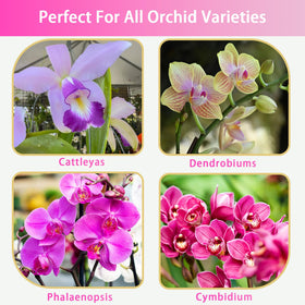 Doter orchid mix highlights balanced moisture for healthy growth.