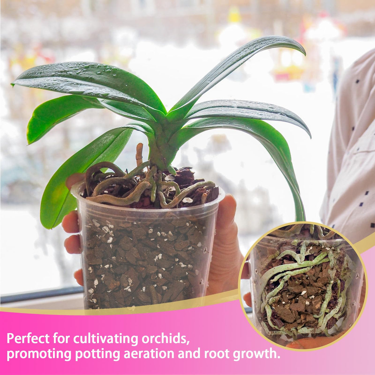 Doter orchid mix label shows pH-balanced formulation for orchids.