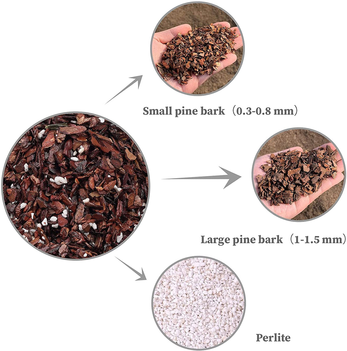 Doter organic perlite improves aeration and drainage for healthy potted orchids.