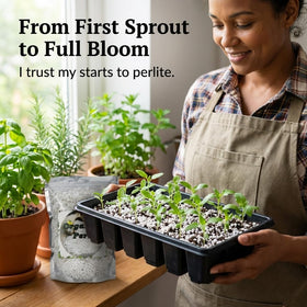 Doter Organic Perlite helps maintain a nutrient-rich environment in potting mixes.