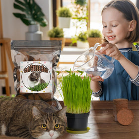 Doter organic pet-safe soil is suitable for indoor grazing greens