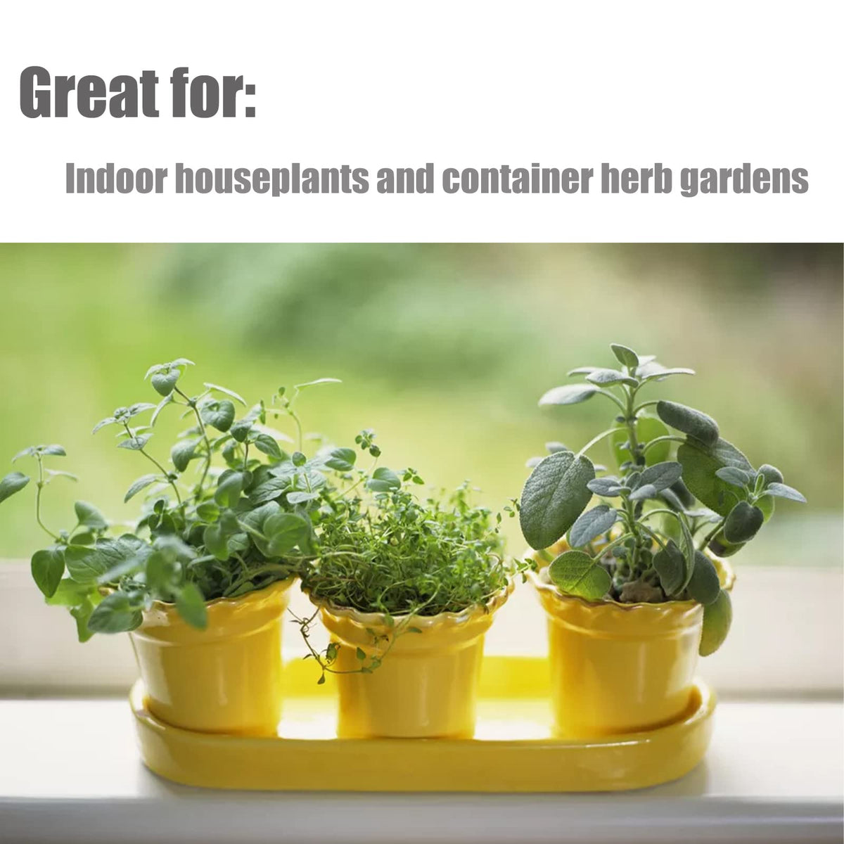 Herbs and vegetables thriving in pots using Doter soil mix for containers.