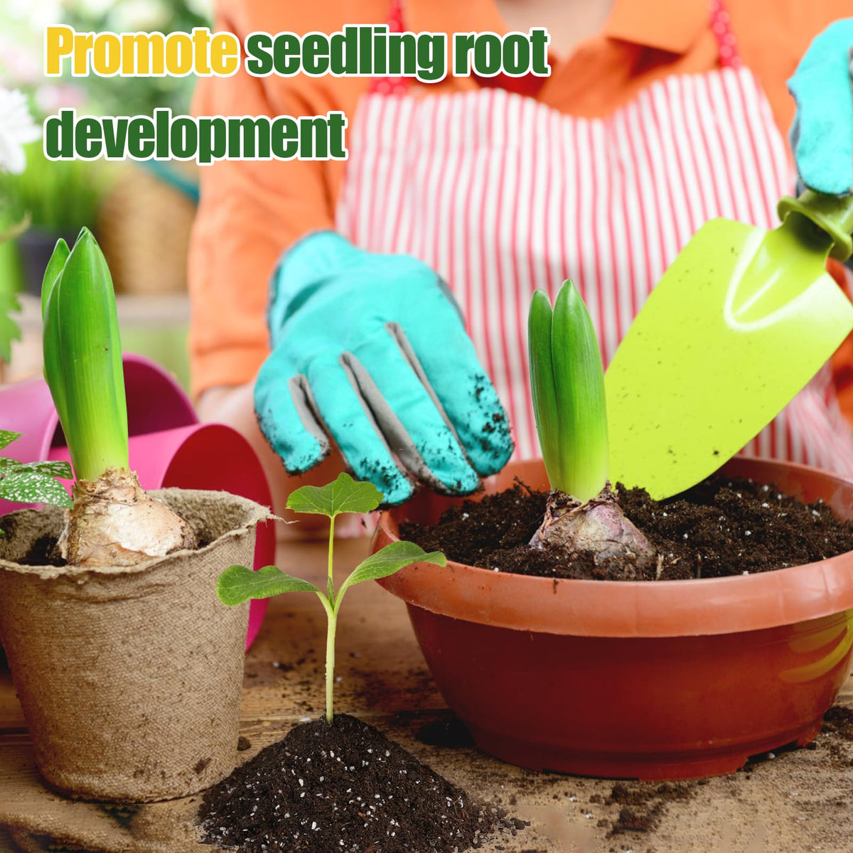 Doter Organic Seed Starter mix nutrients closeup, providing essential nourishment for seedlings