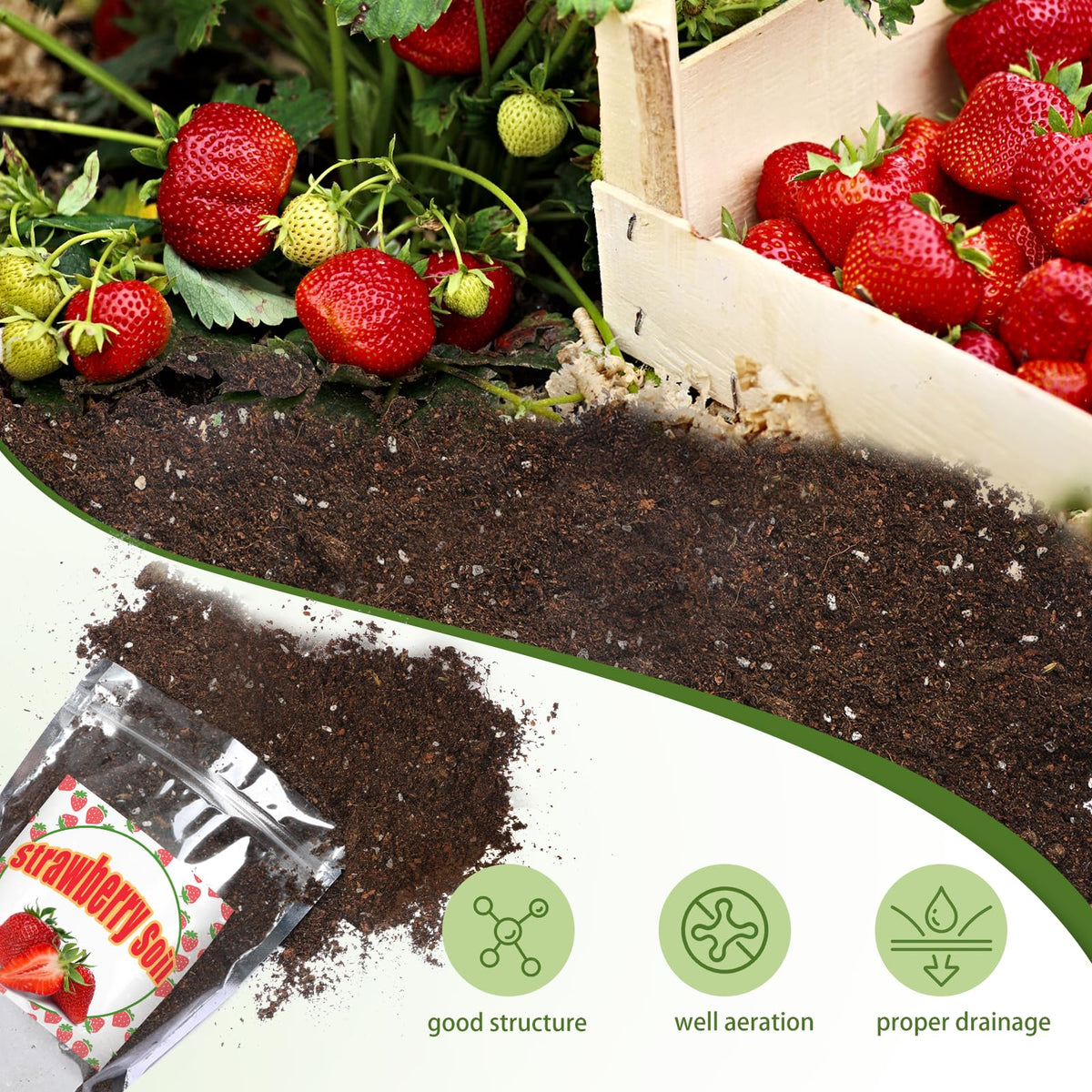 Doter Organic Strawberry Soil Mix 2qt aeration closeup highlights improved soil structure.