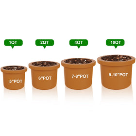 Doter Organic Perlite 4-quart bag ready for home potting projects.