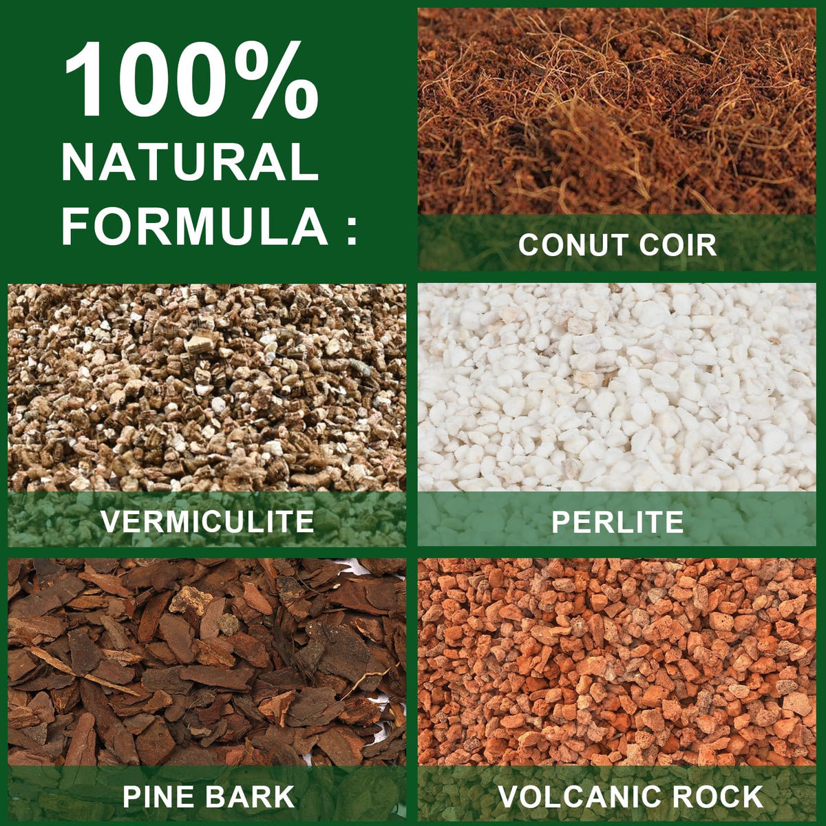 Doter perlite-enhanced drainage soil improves air and water flow for succulents