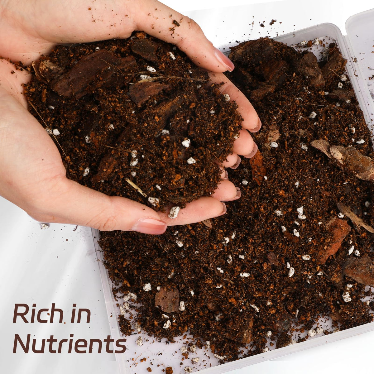 Soil particles with perlite and pine bark for improved drainage and root health.
