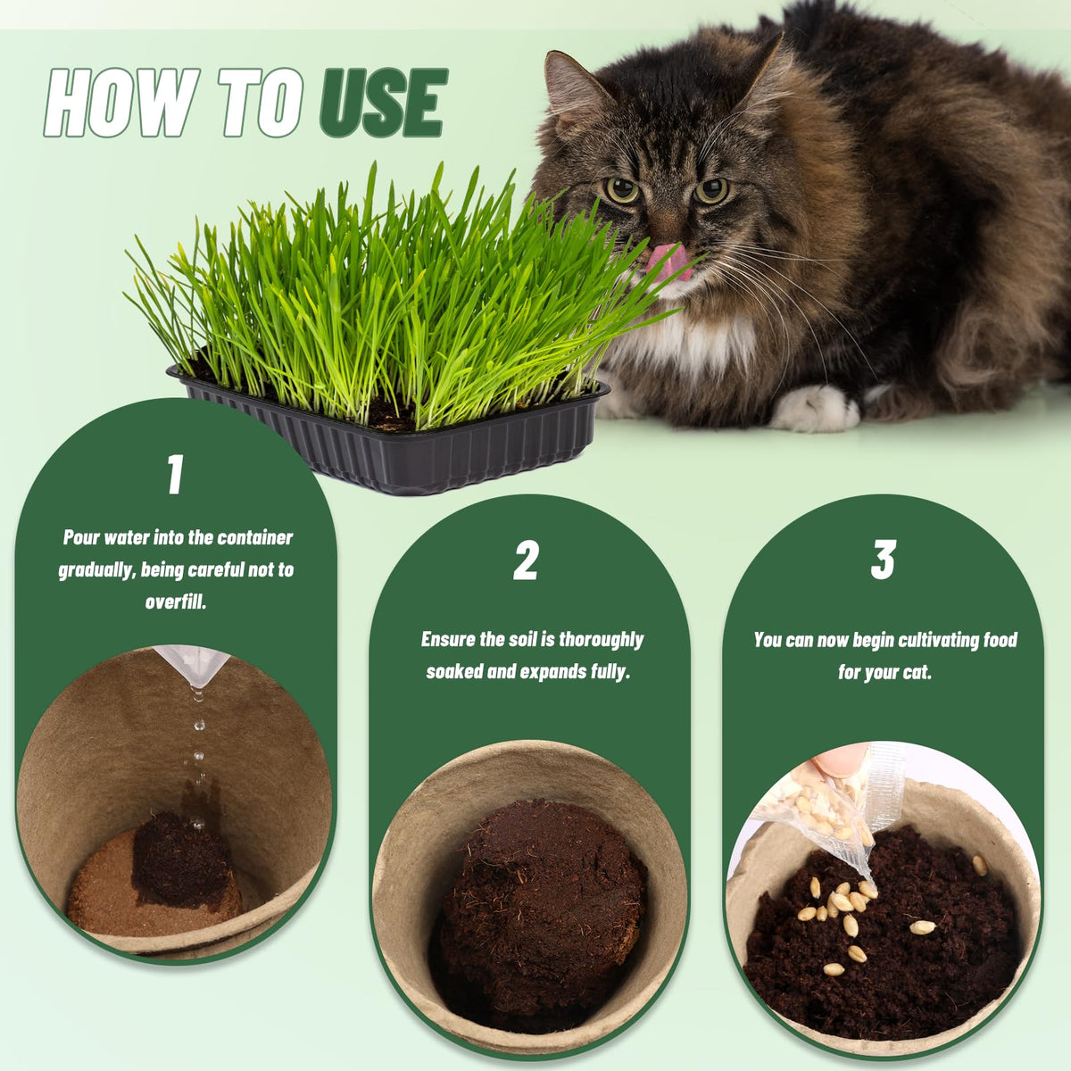 Doter potting soil for chives encourages healthy root development