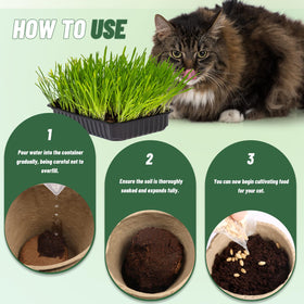 Doter potting soil for chives encourages healthy root development