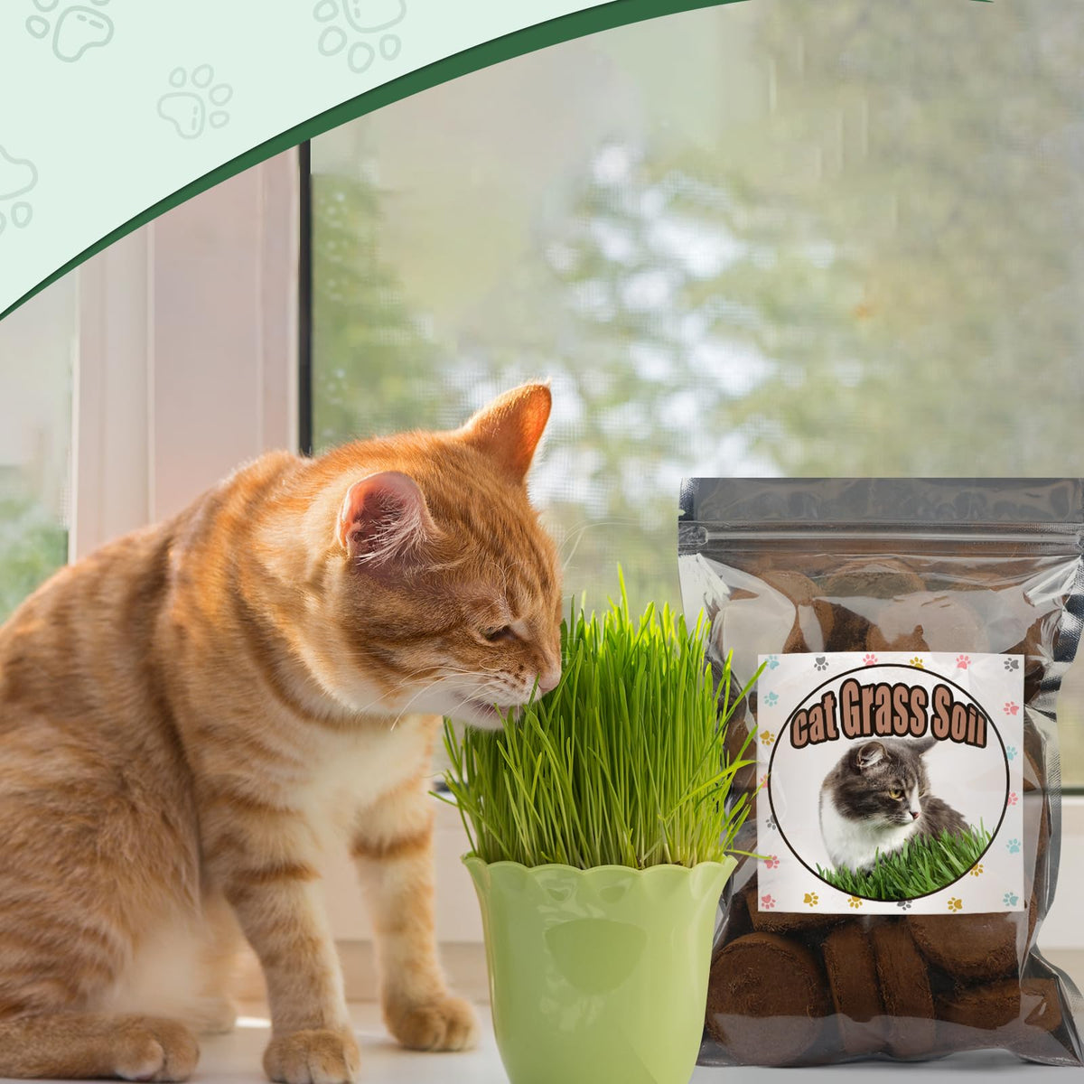 Doter potting soil for indoor herbs like mint supports fresh harvests