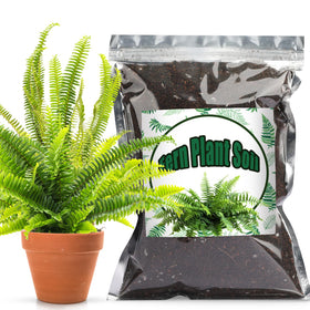 Doter potting soil mix for fern – balanced nutrients for vibrant indoor ferns