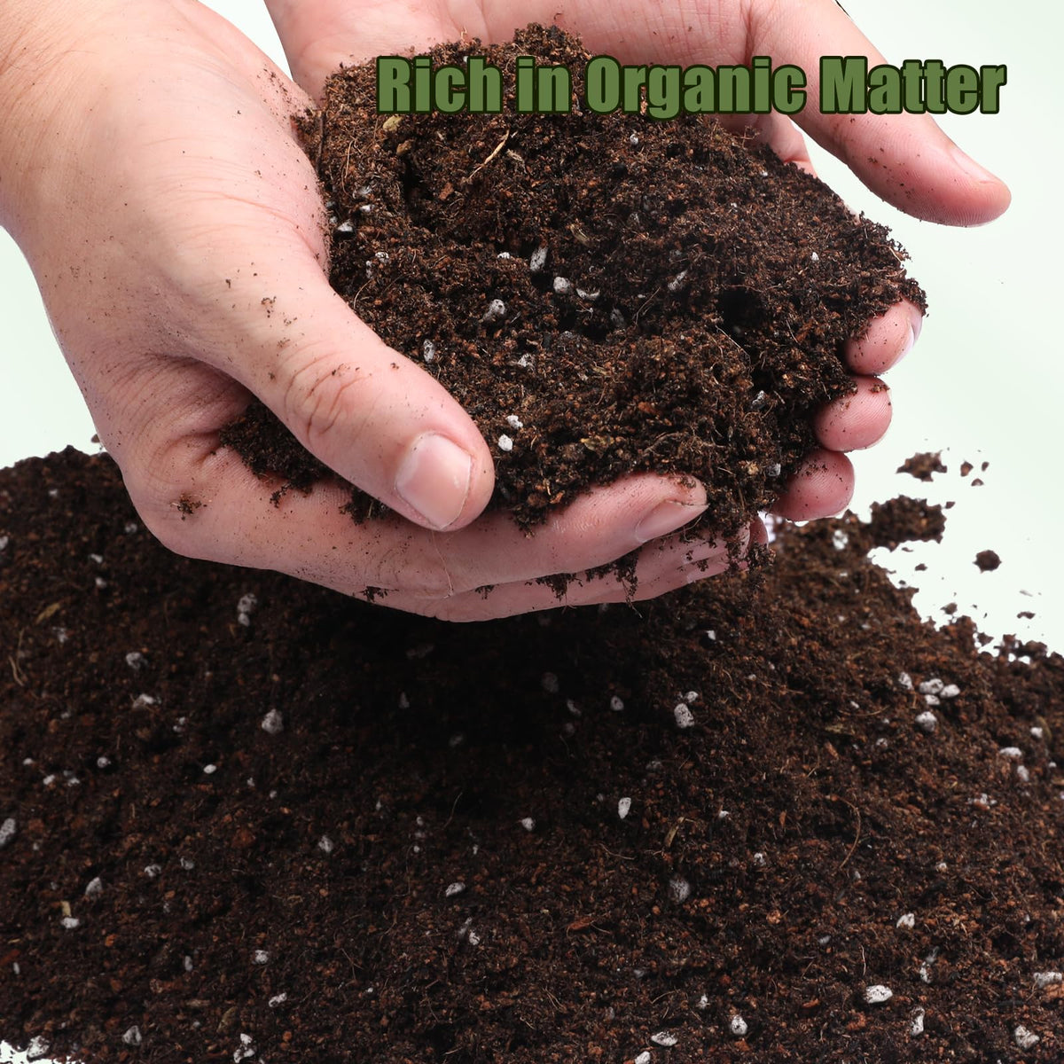 Premium ingredients in Doter soil support steady moisture for thriving ferns