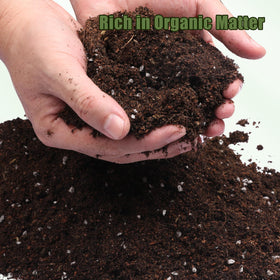 Premium ingredients in Doter soil support steady moisture for thriving ferns