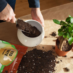 Doter seed starter mix being used in a pot to prevent waterlogging.