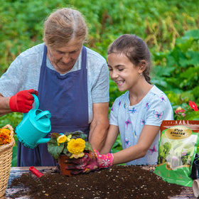 Doter seed starter mix enriched with organic nutrients promoting healthy roots.