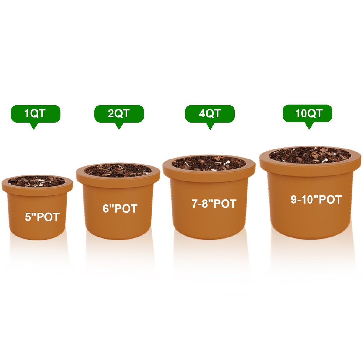 Doter seed starter mix nurturing seedlings with steady growth in pots.
