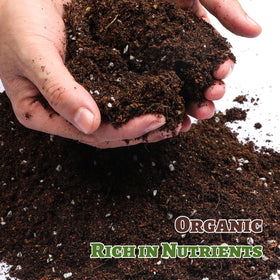 Doter strawberry soil mix hand potting scene shows easy soil application