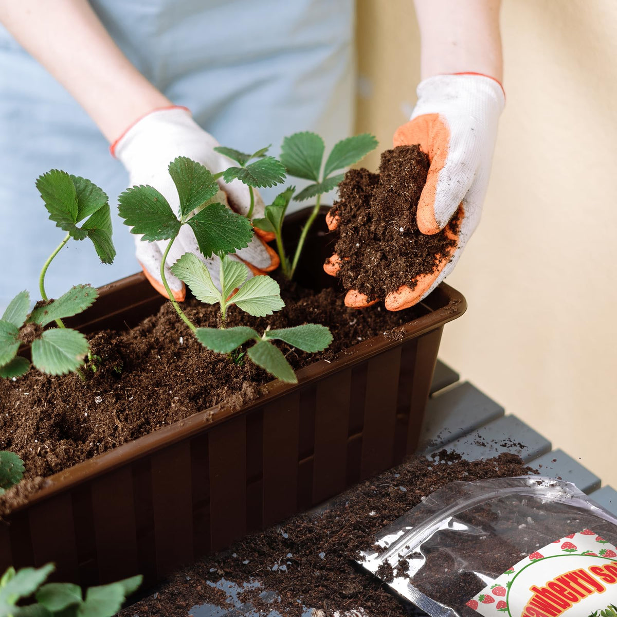 Doter strawberry soil mix for potting indoor strawberries quick setup