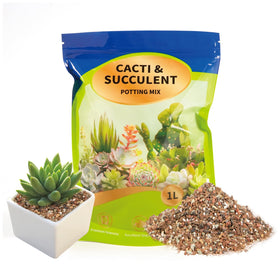 Doter succulent cactus soil mix 1qt bag promotes drainage for healthy roots