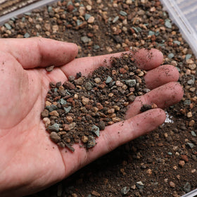 Doter succulent and cactus soil pour-out demonstrates easy use