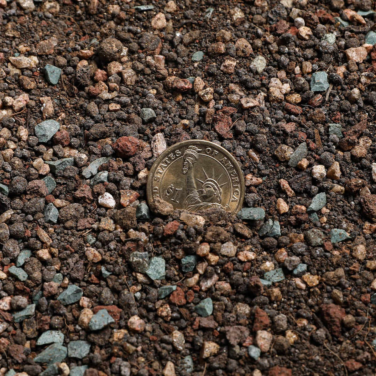 Doter succulent and cactus soil texture close-up showing drainage particles