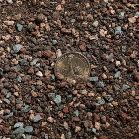 Doter succulent and cactus soil texture close-up showing drainage particles