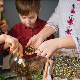 Versatile for desert and tropical terrarium landscapes