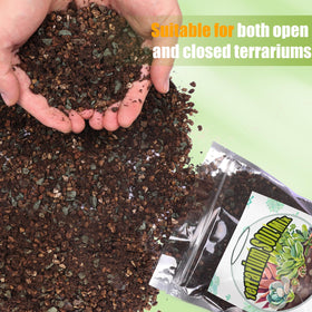 Close-up of soil texture from Doter mix, rich and granular for terrariums