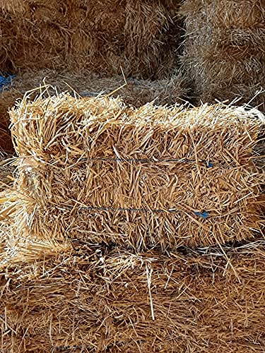 Double F Farms straw composts into organic soil amendments.
