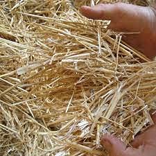 Double F Farms straw for outdoor pets provides warm, dry rest.