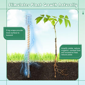 DoubleFill 13.5-inch stake supports growing plants with durable wood and copper wire.