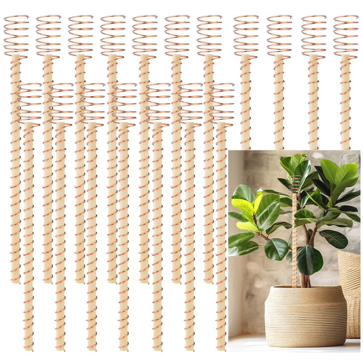 DoubleFill spiral stake pack provides sturdy garden support for vegetables and climbers.