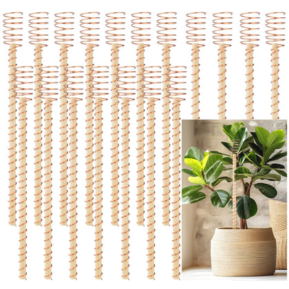 DoubleFill spiral stake pack provides sturdy garden support for vegetables and climbers.