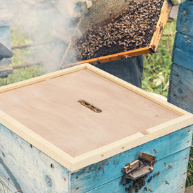 DoubleFill inner cover dimensions 16.3 x 19.9 inches for 10-frame hives.