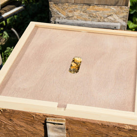 DoubleFill 8-frame hive top cover with exact dimensions for proper fit.