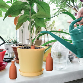 DoubleFill compatible with hanging baskets and pots for versatile hydration