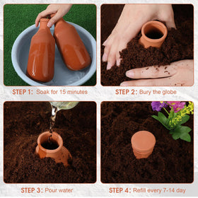 DoubleFill terracotta globes buried near roots provide slow irrigation