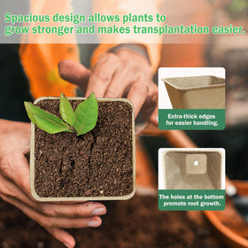 Doubleggs 3.15-inch diameter pots support tomatoes and cucumbers.