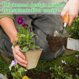 Doubleggs pots feature enhanced drainage to prevent waterlogged soil and promote health.