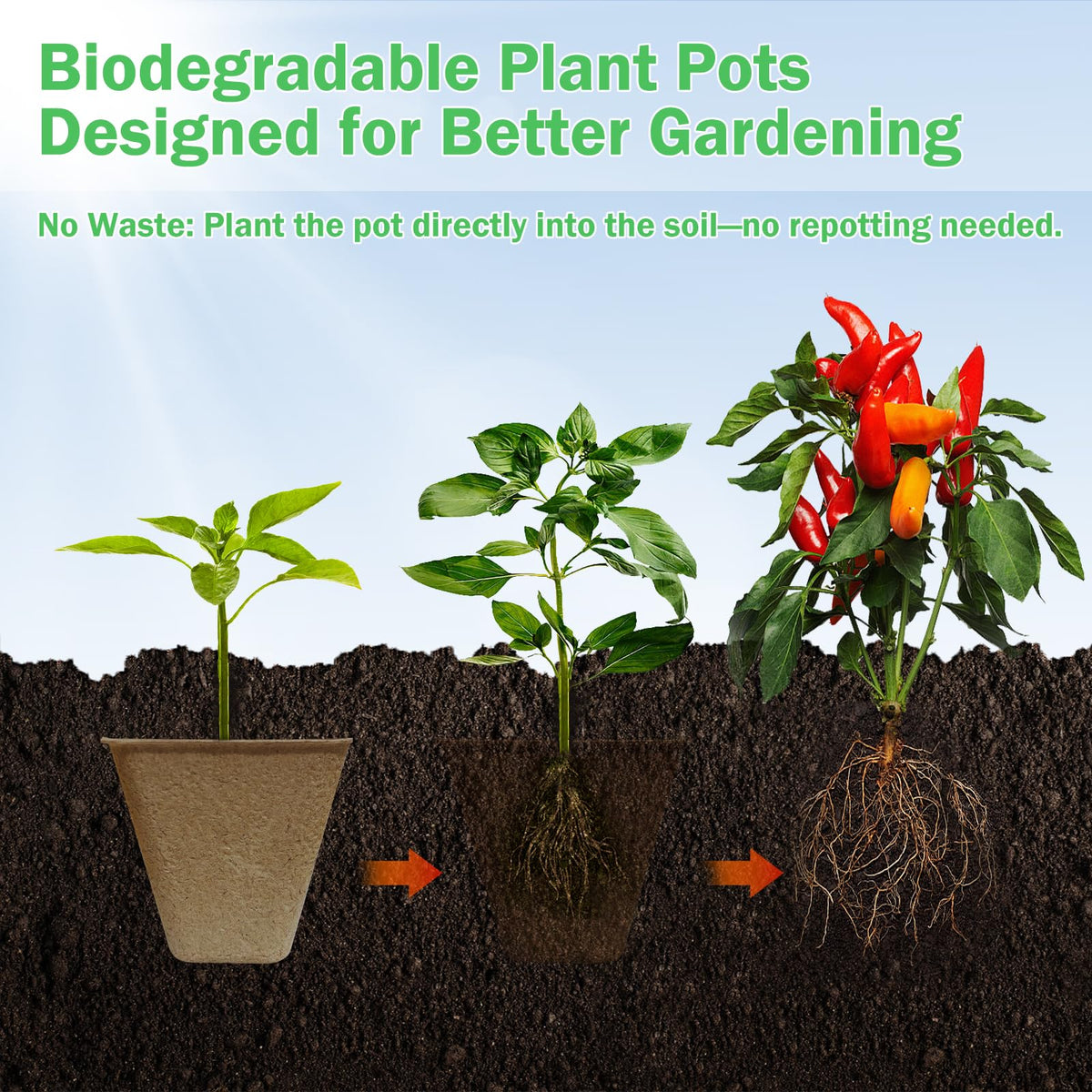 Doubleggs mini transplant tools help painless transplanting without disturbing roots.