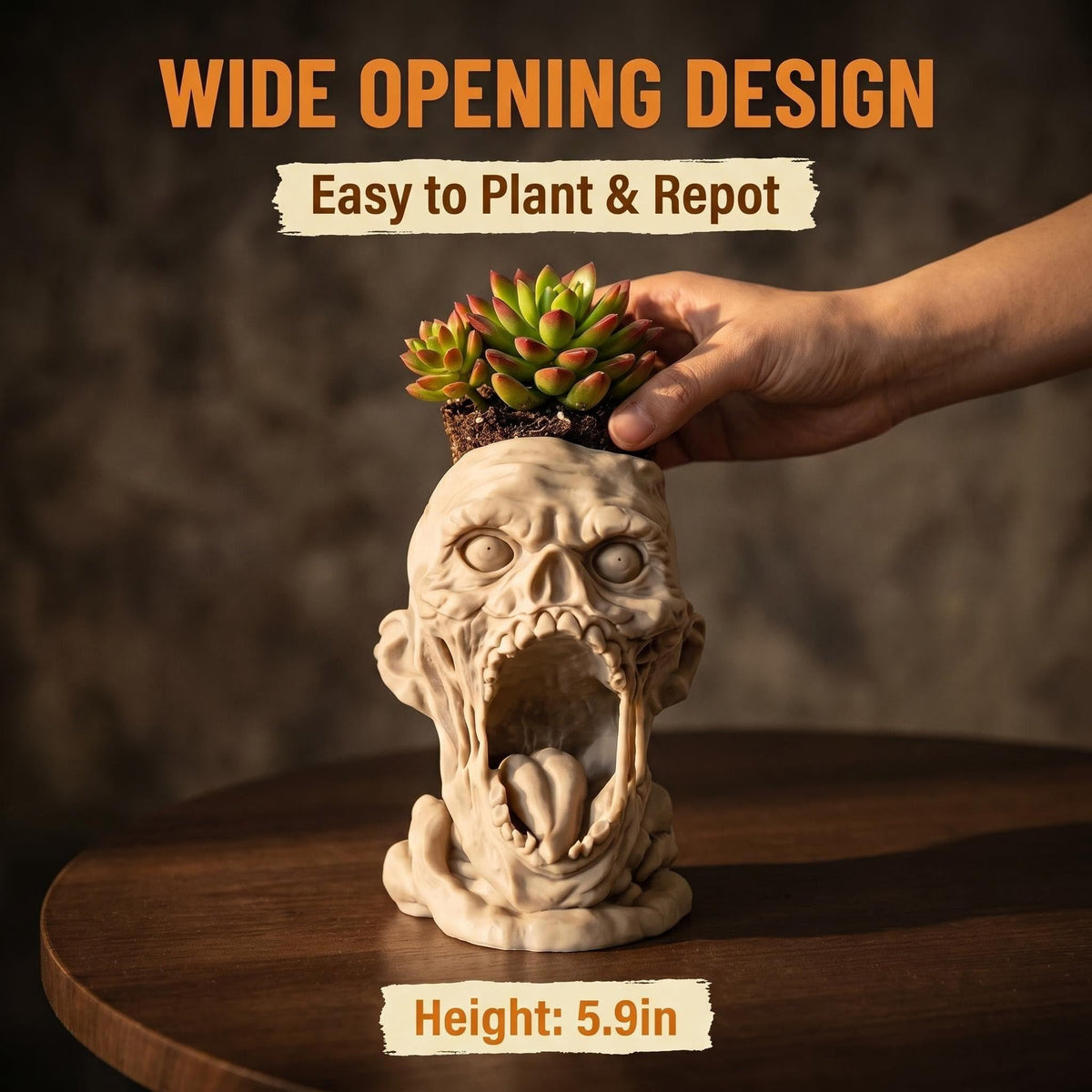 Doudouhua skull planter hosting a small succulent