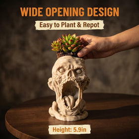 Doudouhua skull planter hosting a small succulent