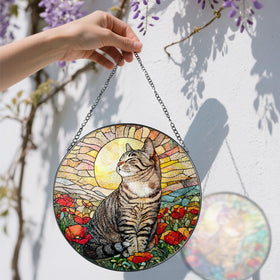DOUHASU suncatcher for windows produces rainbow light patterns across walls