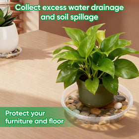 Dovesail plant saucer 12-inch clear tray keeps larger planters dry.