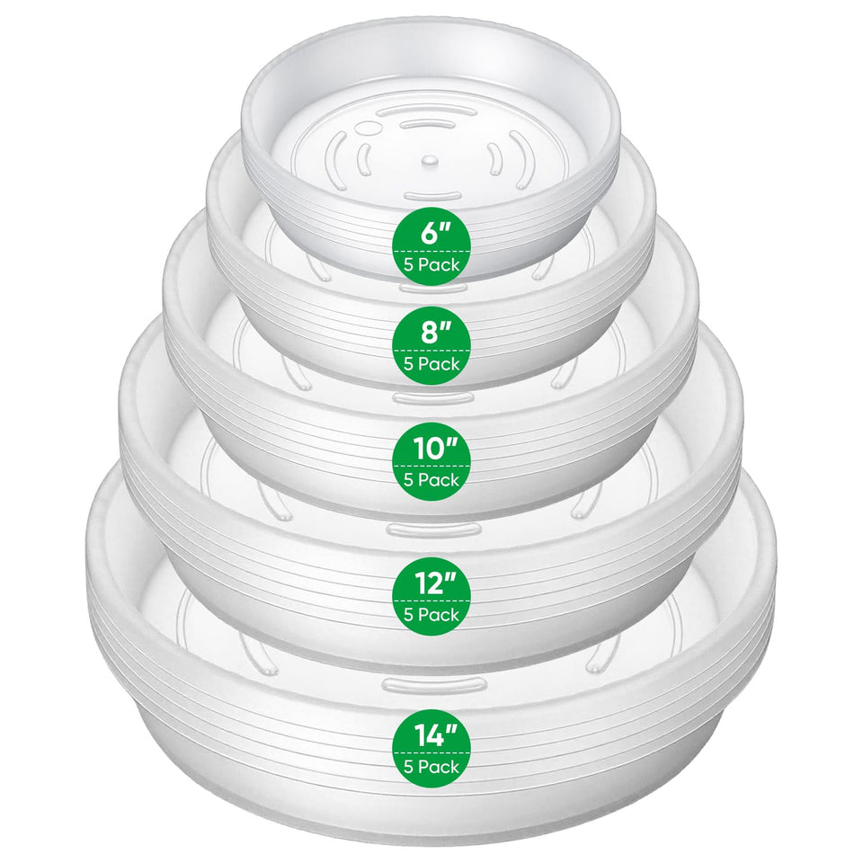 Dovesail plant saucer 6-inch clear tray protects small pots.