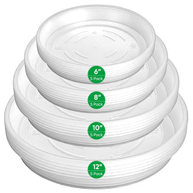 Dovesail plant saucer 6-inch clear demonstrates a clean drip tray for indoor pots.