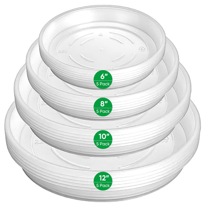 Dovesail plant saucer 6-inch clear demonstrates a clean drip tray for indoor pots.