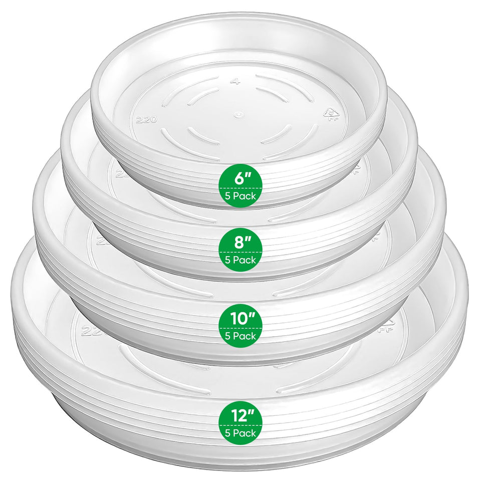 Dovesail plant saucer 6-inch clear demonstrates a clean drip tray for indoor pots.